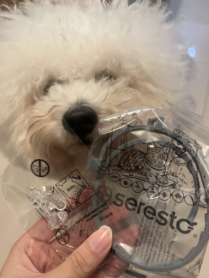 零蚤蝨配戴開箱分享(曬狗居多?!