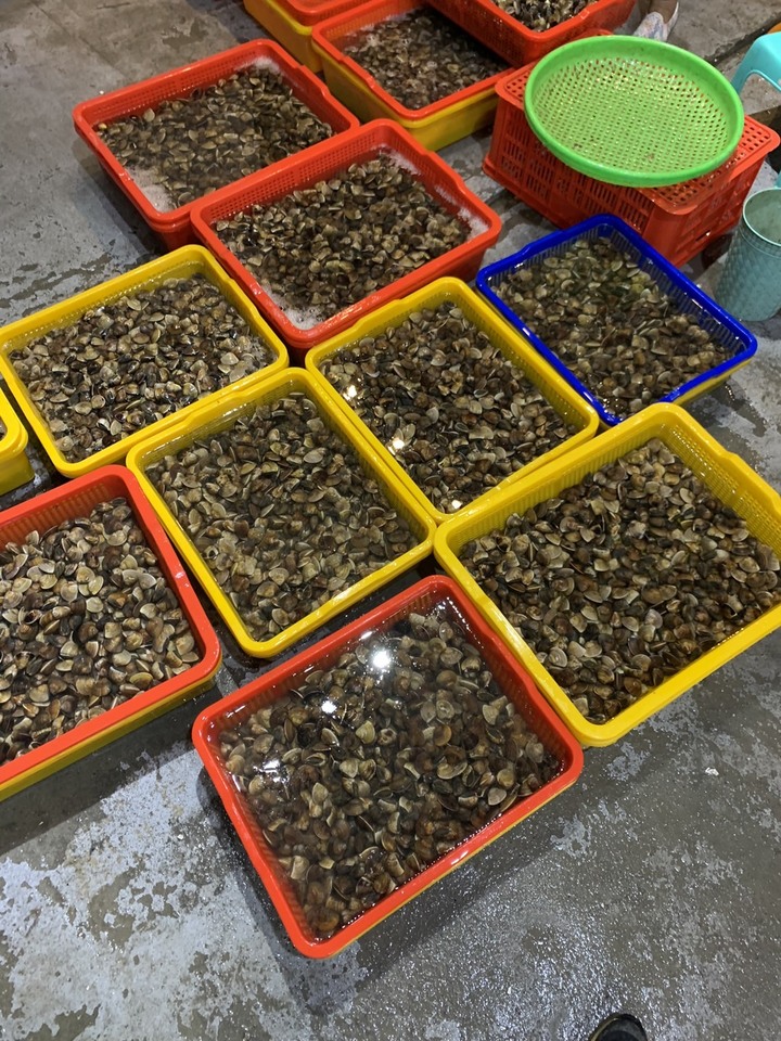物流配送不穩定的問題 (產地直送海鮮批發)