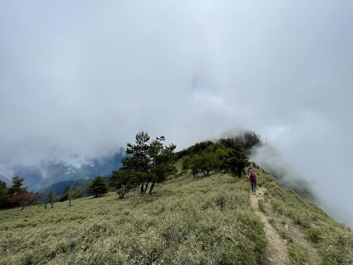碰一次比遊樂園CP值更高的碰碰車來去郡大山