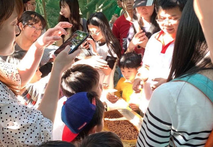 溜小孩好去處!精選全台10個自然生態農場,擠羊奶、騎小馬體驗樣樣有(上)