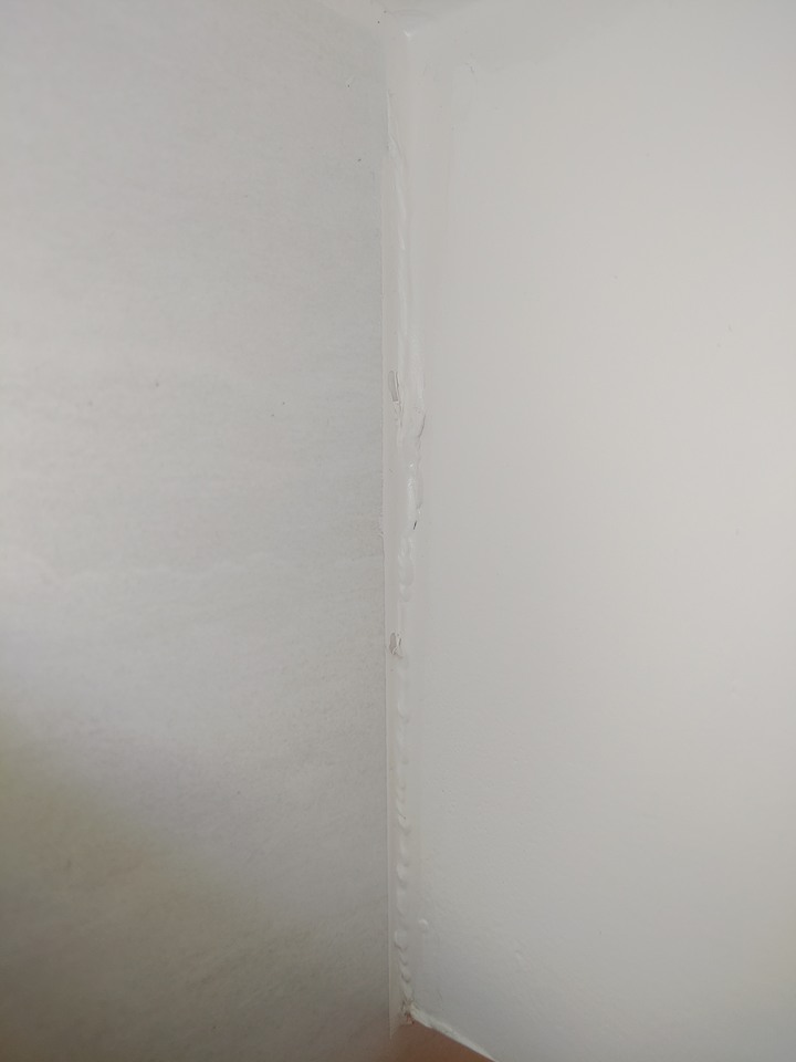 浴室天花板收邊 看不出來是什麼？