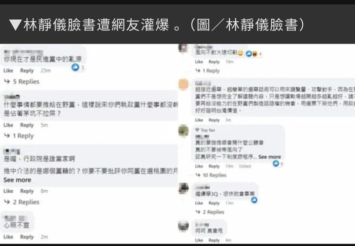 選出「林靜儀」這種立委真可悲！
