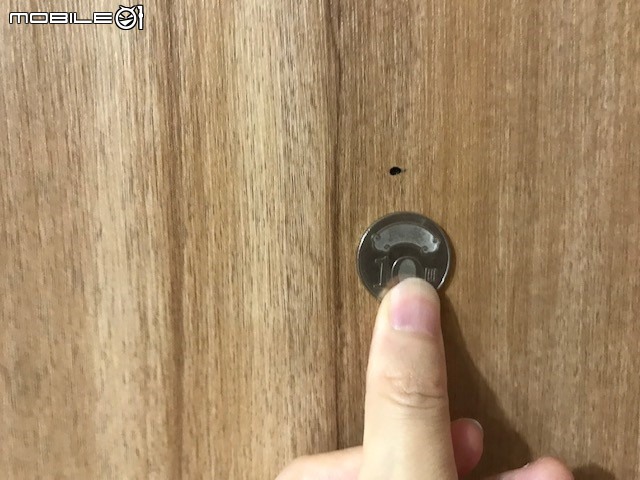 蟲蟲危機!請教木心板櫃體蟲蛀問題
