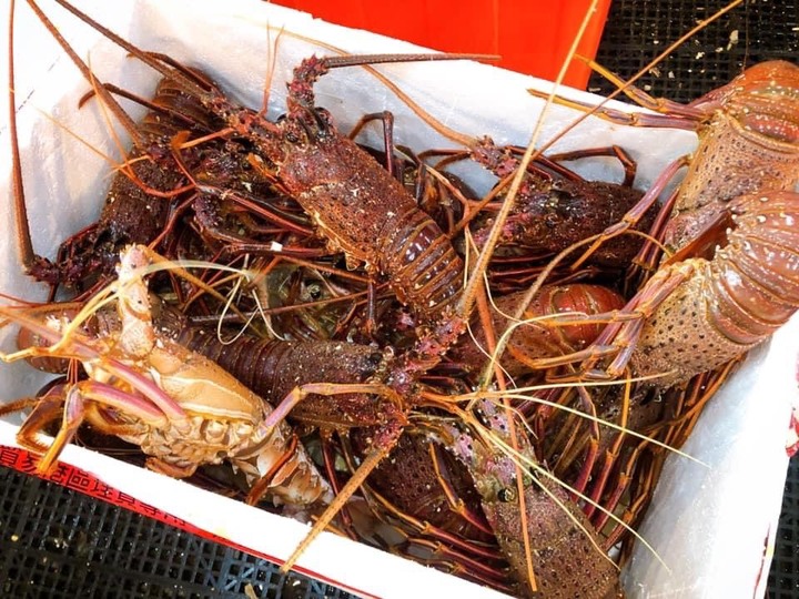 物流配送不穩定的問題 (產地直送海鮮批發)