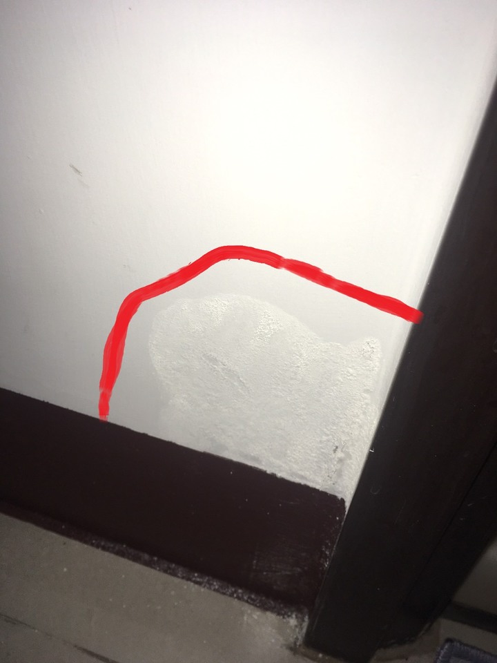 請問這是壁癌嗎?