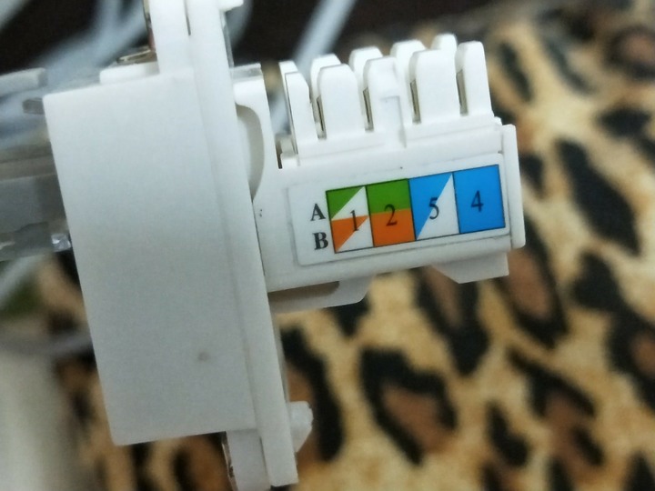 網路孔線的安裝分配
