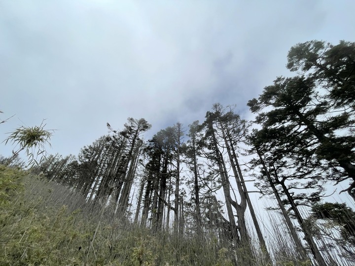 碰一次比遊樂園CP值更高的碰碰車來去郡大山