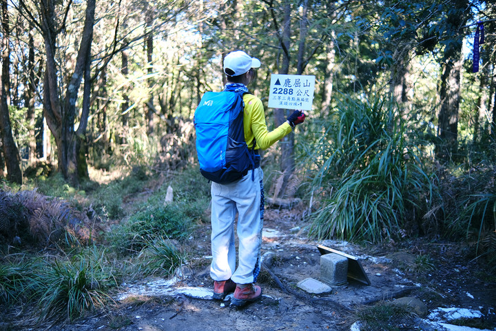 點我看大圖 【水漾森林.鹿屈山】一日O型縱走 | 寧靜優美的水漾森林與春陽灑落的鹿屈山林
