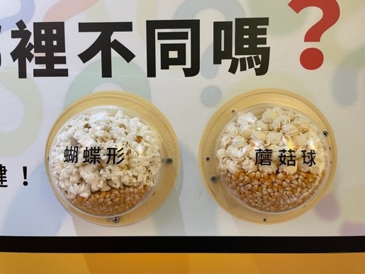 台灣觀光工廠也很厲害！卡滋爆米花觀光工廠微旅行～