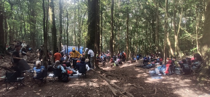格德火山 - Gunung Gede (印尼Cianjur)