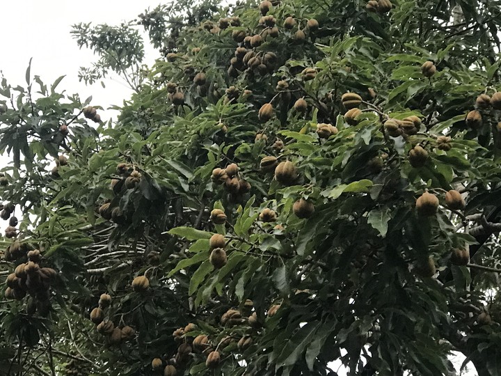 《遠走高飛》一週環島兩圈4＋2天的機緣