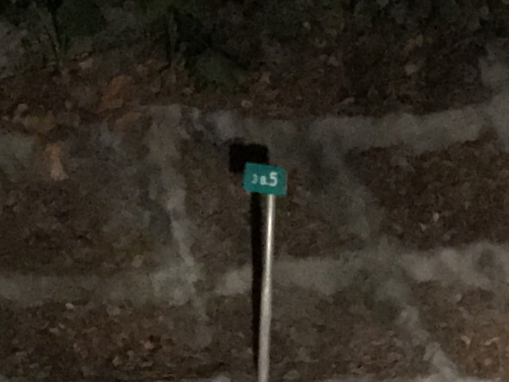 花蓮兩大金針山環繞（不塞）路線