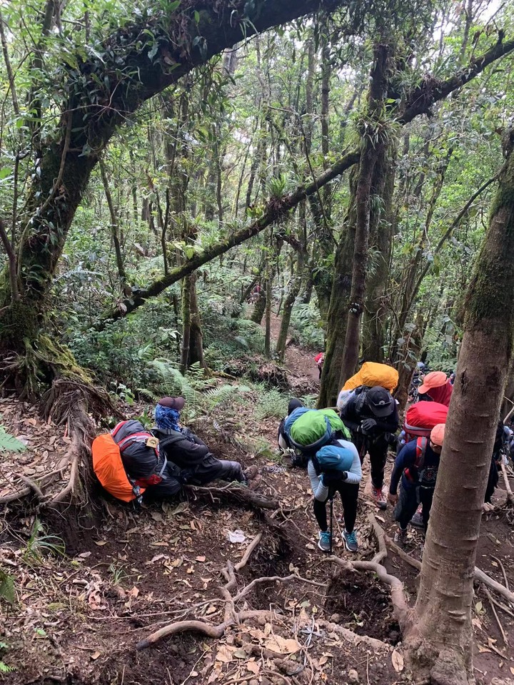 格德火山 - Gunung Gede (印尼Cianjur)