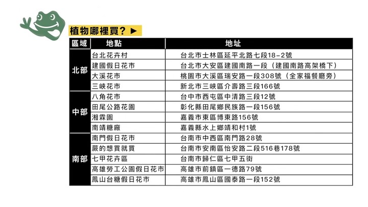 【分享】超簡單植栽佈置術！8款室內觀葉植物＋質感雜貨，佈置成波西米亞風