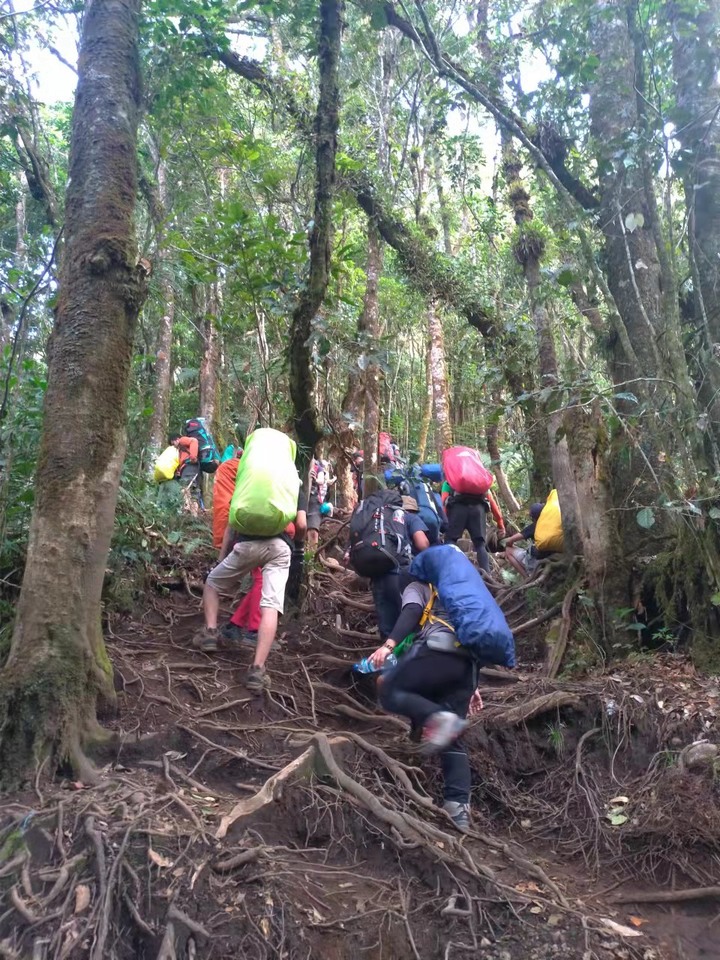 格德火山 - Gunung Gede (印尼Cianjur)