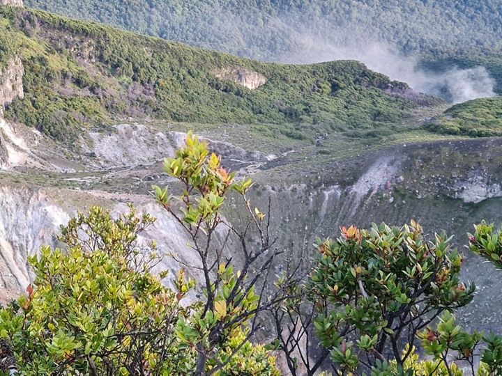 格德火山 - Gunung Gede (印尼Cianjur)