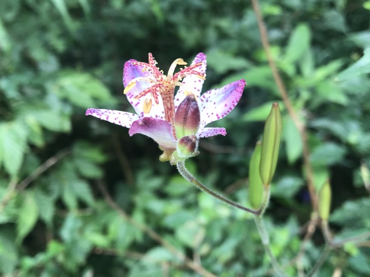 四天三夜環島奇蹟,內衣褲只帶一套,良好衛生習慣自體循環使用,不睡路邊不行乞只花1520元住宿費用!