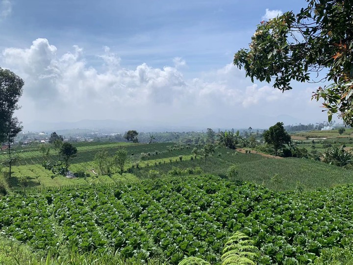 格德火山 - Gunung Gede (印尼Cianjur)