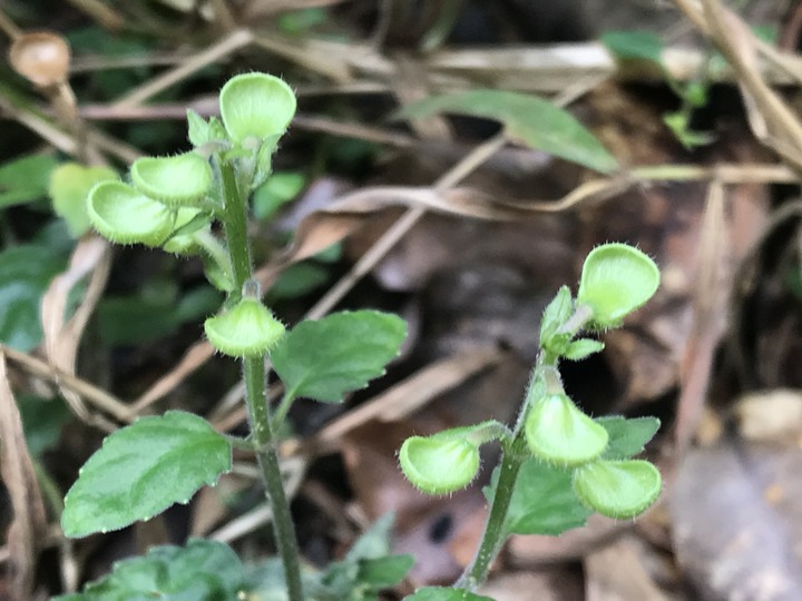 四天三夜環島奇蹟,內衣褲只帶一套,良好衛生習慣自體循環使用,不睡路邊不行乞只花1520元住宿費用!