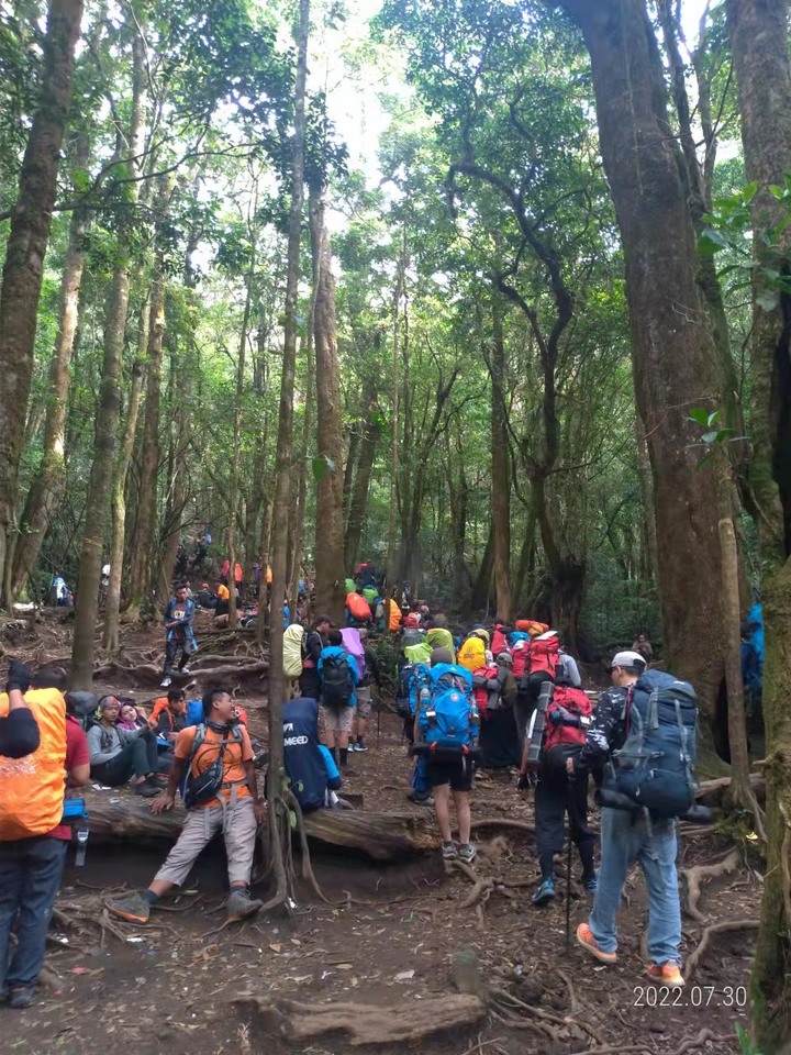 格德火山 - Gunung Gede (印尼Cianjur)