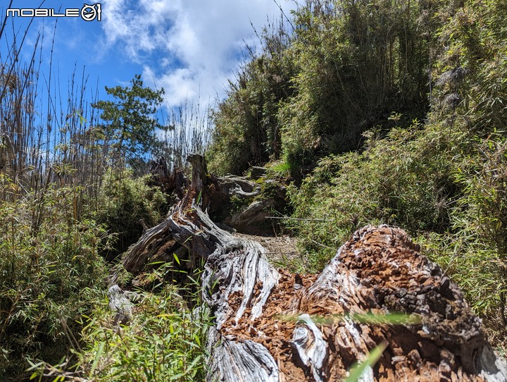 郡大山:坐車比登山久的百岳