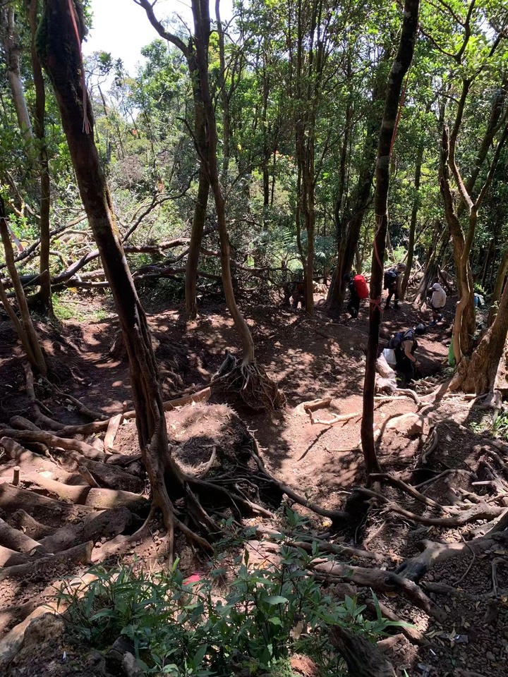 格德火山 - Gunung Gede (印尼Cianjur)