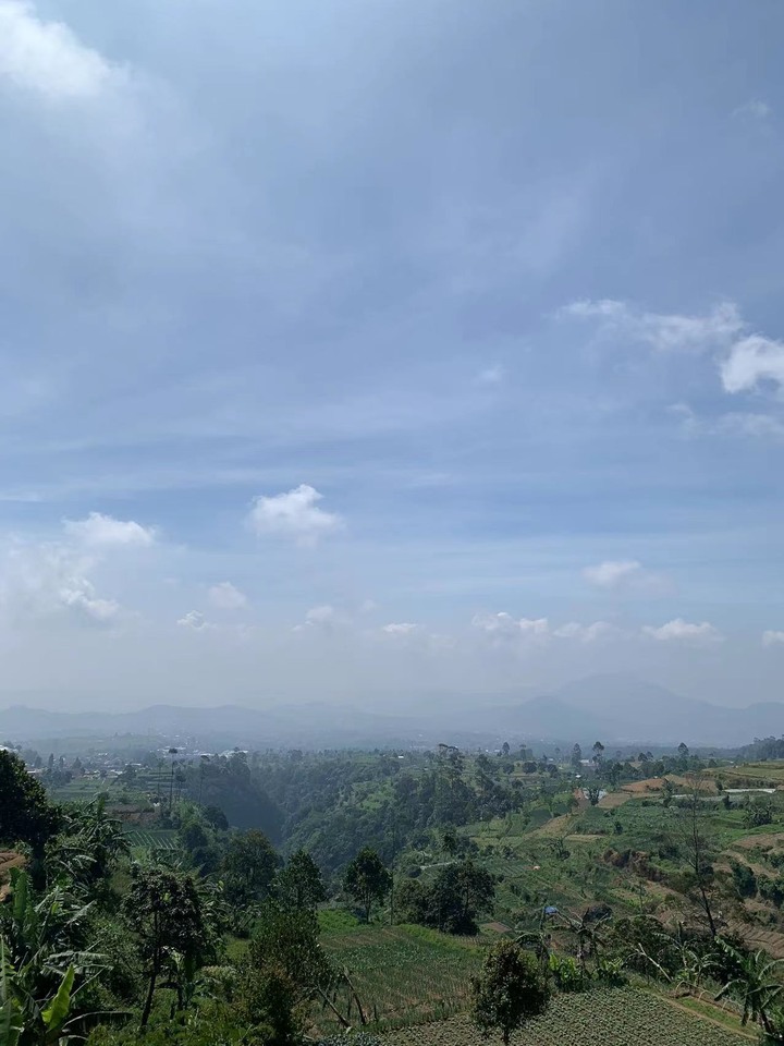格德火山 - Gunung Gede (印尼Cianjur)