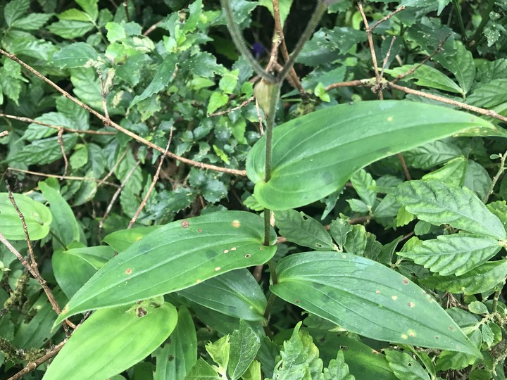 四天三夜環島奇蹟,內衣褲只帶一套,良好衛生習慣自體循環使用,不睡路邊不行乞只花1520元住宿費用!