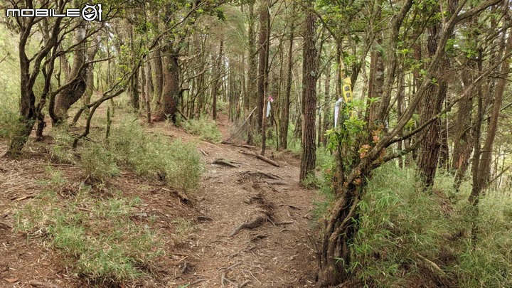 郡大山:坐車比登山久的百岳