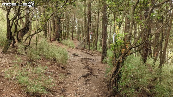 郡大山：坐車比登山久的百岳