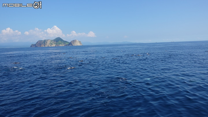 11108宜蘭之旅 Day.1 (宜蘭 龜山島 賞鯨 寒沐 外澳飛行傘)