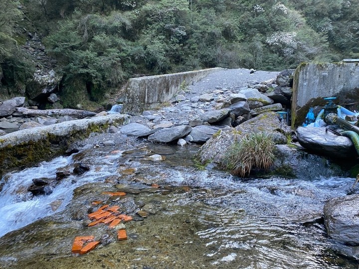 比冷氣房更舒服!夏日避暑勝地「合歡溪步道」