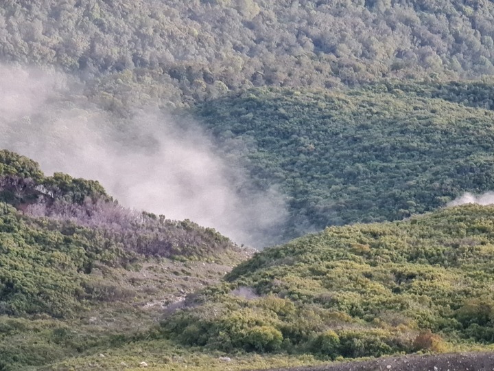 格德火山 - Gunung Gede (印尼Cianjur)
