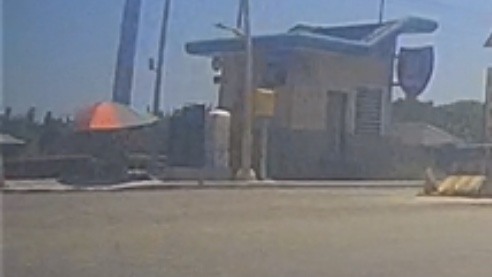 花蓮兩大金針山環繞（不塞）路線