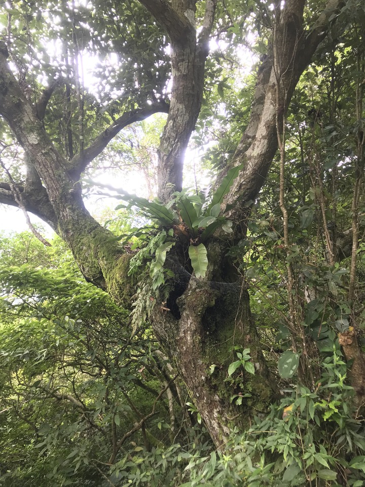 四天三夜環島奇蹟,內衣褲只帶一套,良好衛生習慣自體循環使用,不睡路邊不行乞只花1520元住宿費用!