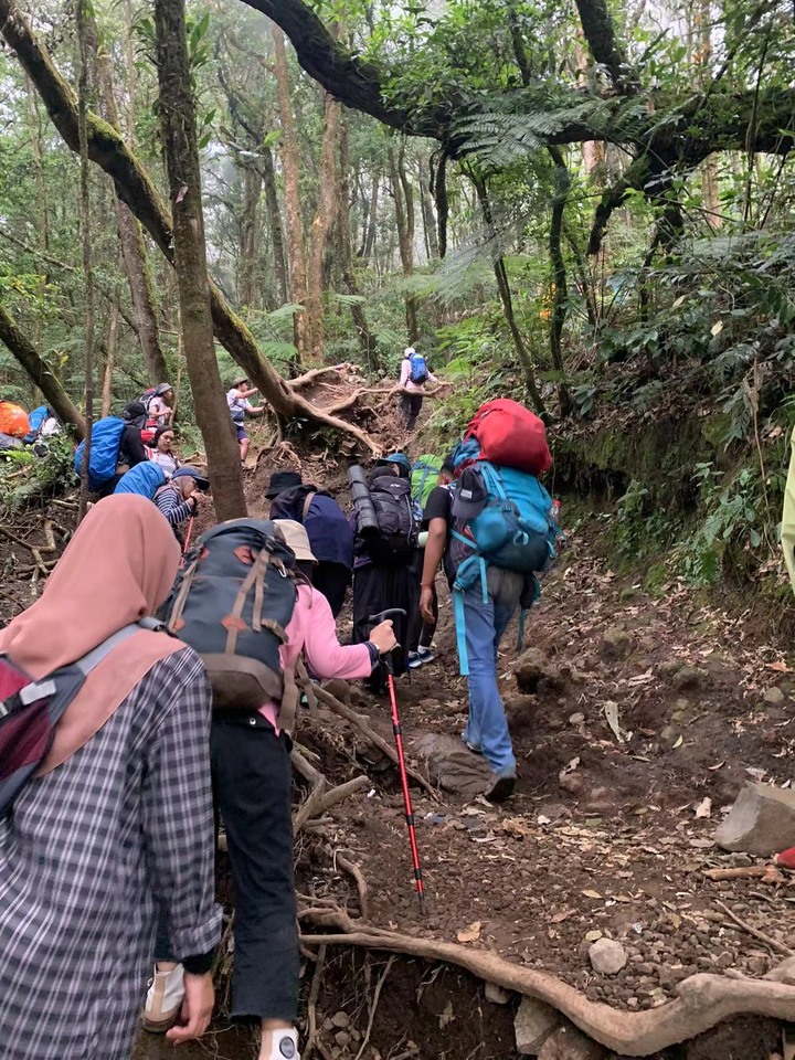 格德火山 - Gunung Gede (印尼Cianjur)