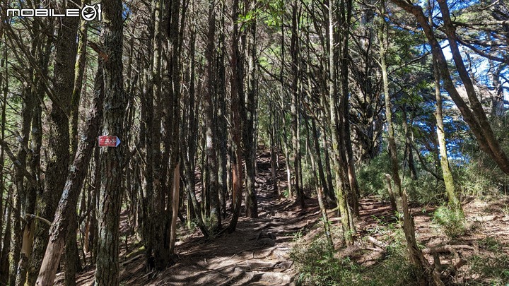 郡大山:坐車比登山久的百岳