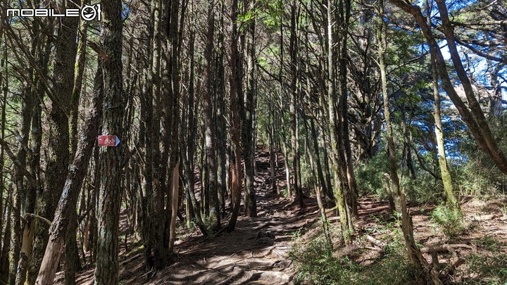 郡大山：坐車比登山久的百岳