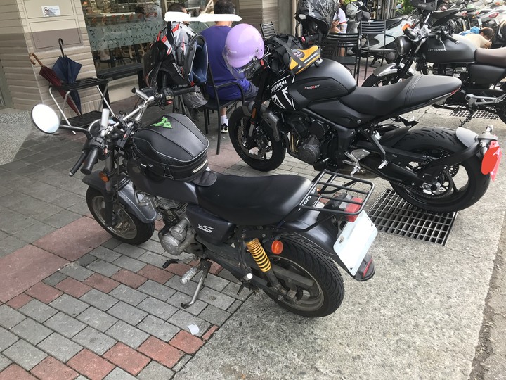 動物系迎娶車隊
