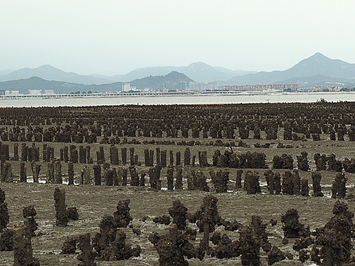 金寧 古寧頭戰史館、安東一營區、北山古洋樓、北山海堤、北山播音牆/北山斷崖 — 古寧頭戰役戰場巡禮 — 盛夏金門四日行 金寧篇 第2部