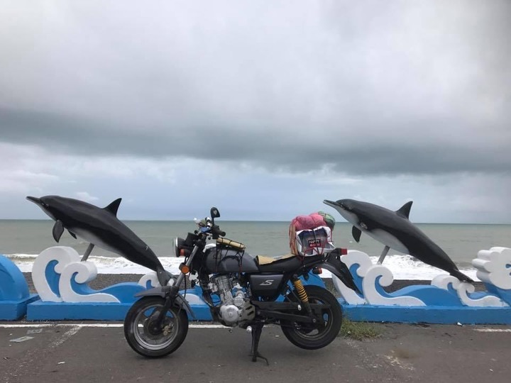 動物系迎娶車隊