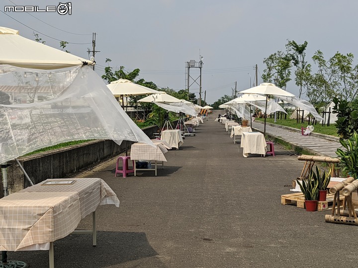 芒花(甜根子草) 台南市大內區大內橋 09/17