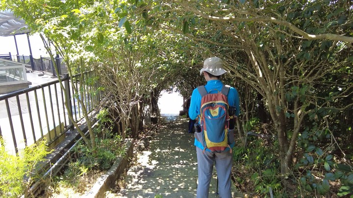 [樂山童盟] [台北文山] 樟湖山-鵝角格山-鵝角格東峰-三玄宮山-獅球山