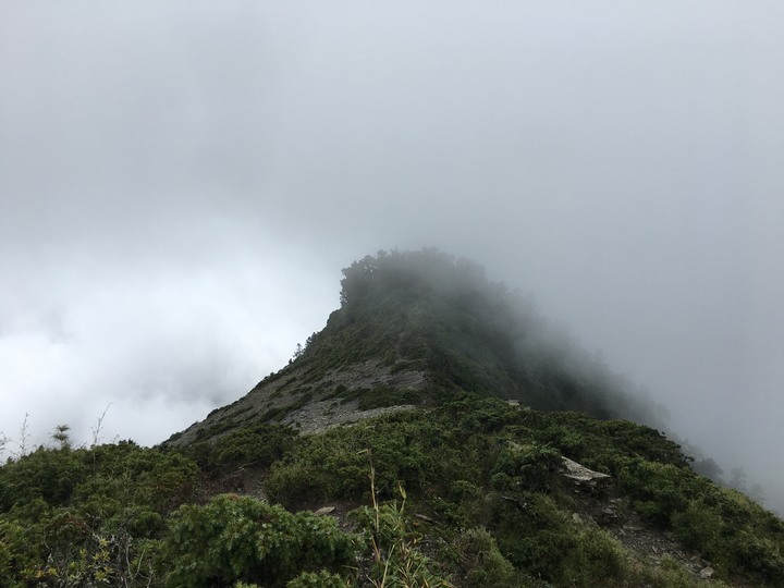 南台灣的合歡山-南橫三星(山)