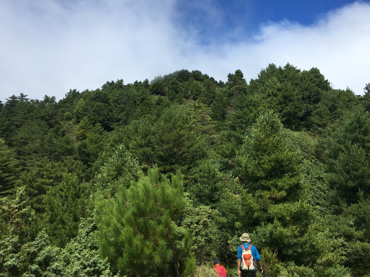 南台灣的合歡山-南橫三星(山)