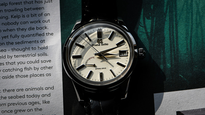 「圖文」Grand seiko Spring Drive SBGA293G
