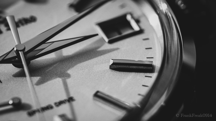 「圖文」Grand seiko Spring Drive SBGA293G