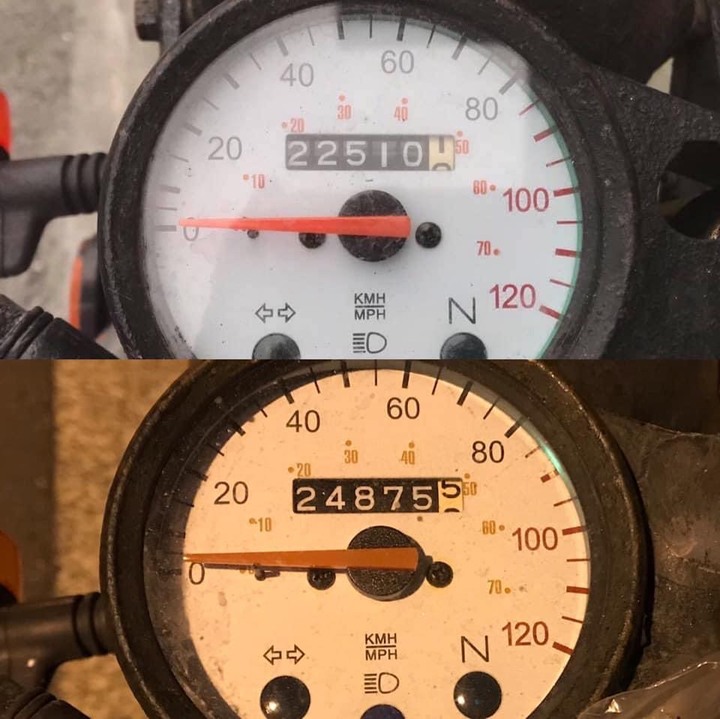 動物系迎娶車隊