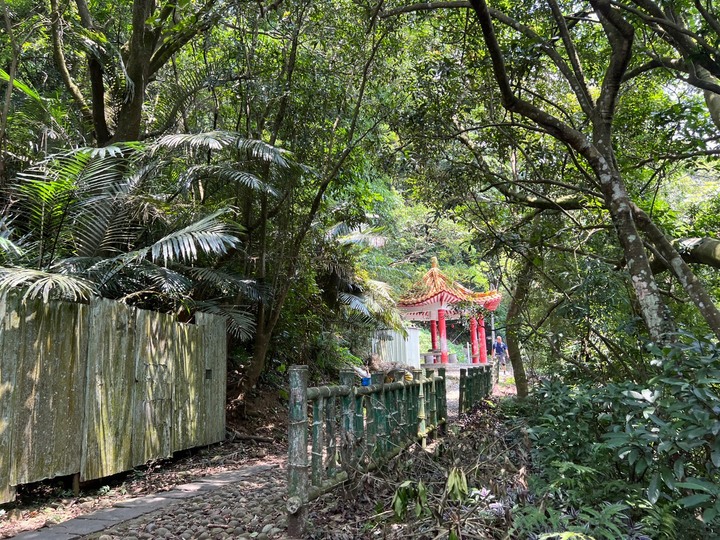 新竹芎林|飛鳳山.新竹親民小百岳,O形路線一次完成三座山