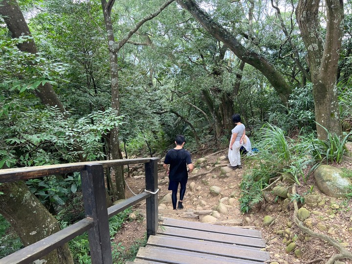 新竹芎林|飛鳳山.新竹親民小百岳,O形路線一次完成三座山
